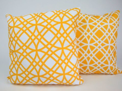 Pair of Seymour Cushions