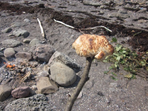 Bannock-Bread