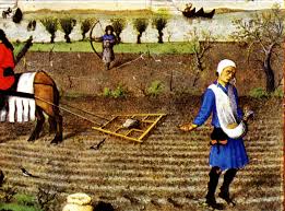 Mediaeval-arable-farming-3
