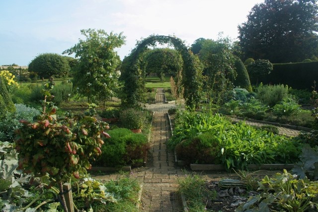 Orchard-at-Grimsthorpe-©-Tudor-Times-Ltd-2015
