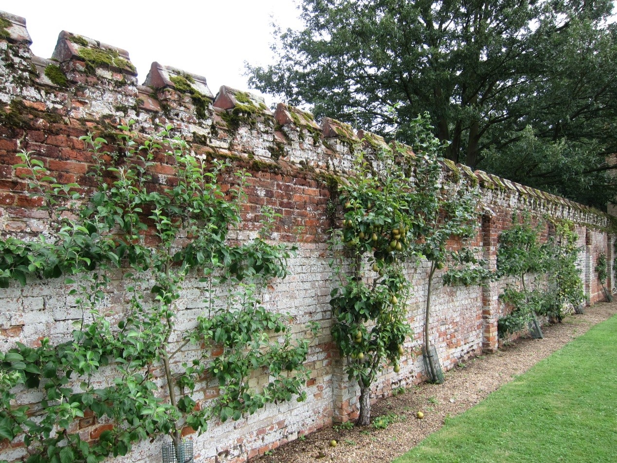 Oxburgh-2