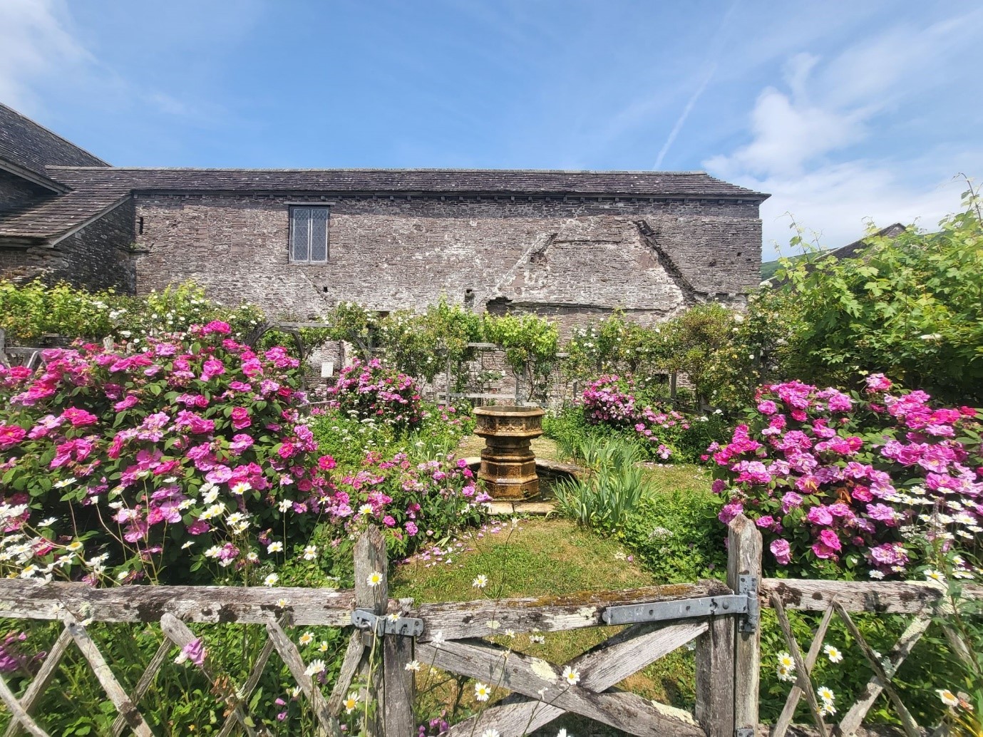 Tretower Castle Rose Garden With Exterior South Facing Wall Mt