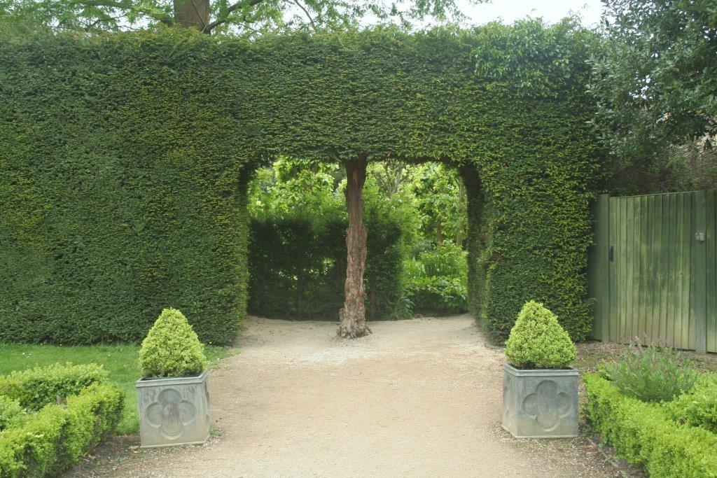 Yew-hedge-with-entrance-cut-into-it-Reduced