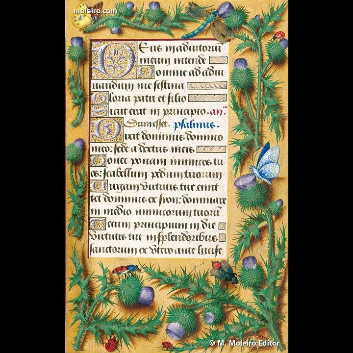 Anne Of Brittany Book Of Hours 2 © M Moleiro